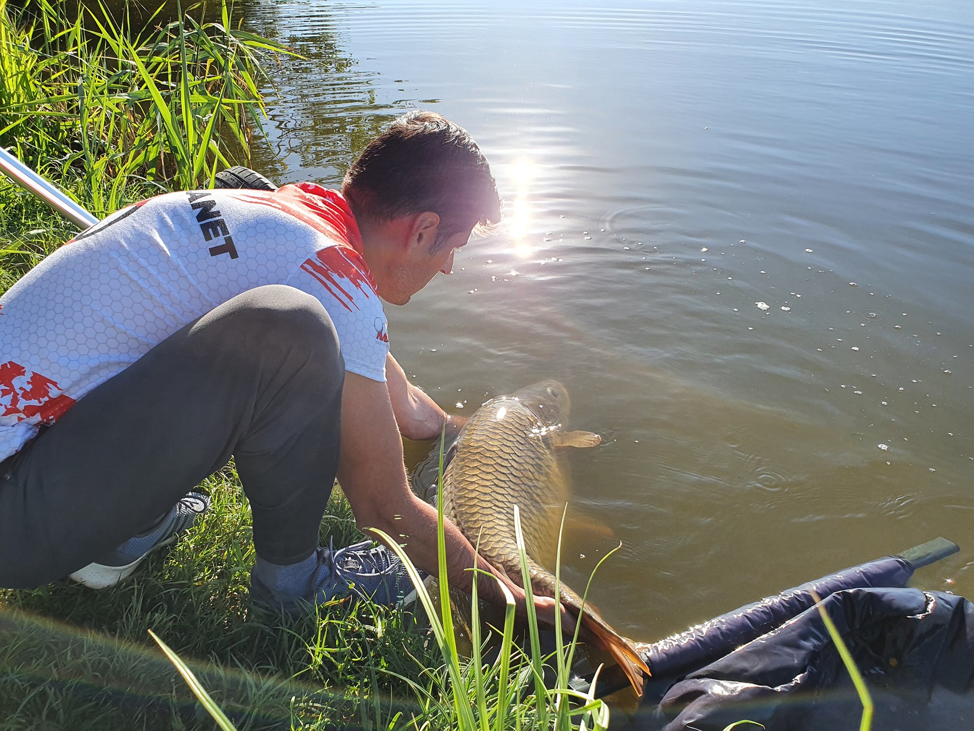 Tancabesti 9 - 12 iulie 2020 - 20200711075550.jpg